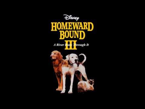 Homeward Bound 3: River Runs Through It - Journey to San Diego